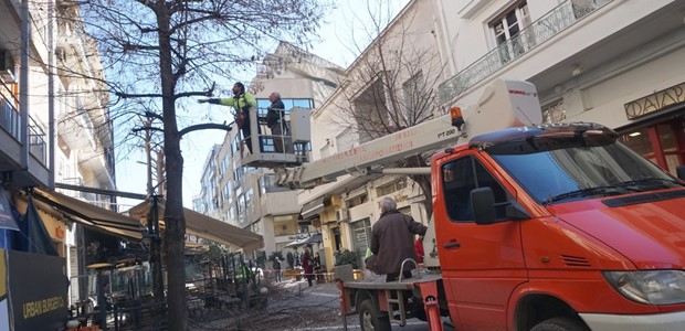 Δ. Λαρισαίων: Κλαδέματα δένδρων στο κέντρο της πόλης 